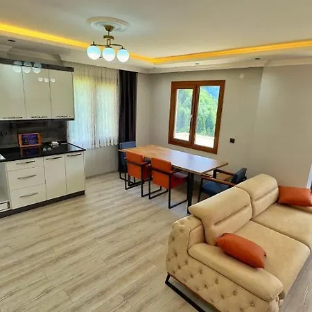 Saglam Apart Otel Uzungöl Buitenkant foto