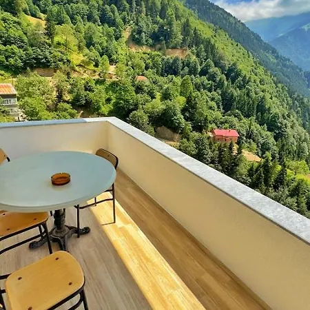 Saglam Apart Otel Uzungöl Buitenkant foto